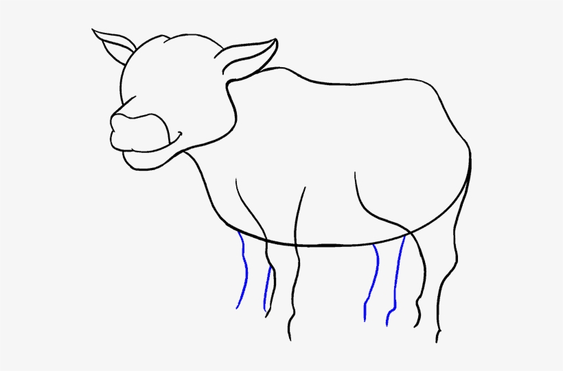 678 X 600 27 - Step By Step Cartoon Cow Drawing, transparent png #9157586