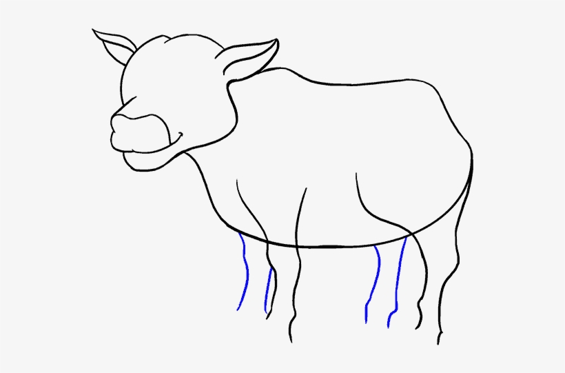 678 X 600 27 - Step By Step Cartoon Cow Drawing - Free Transparent PNG Download - PNGkey 678 X 600 27 - Step By Step Cartoon Cow Drawing - Free Transparent PNG Download - PNGkey