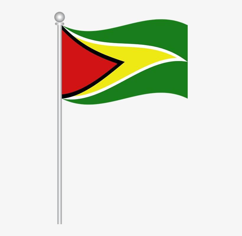 Guyana Flag Png, transparent png #9158456