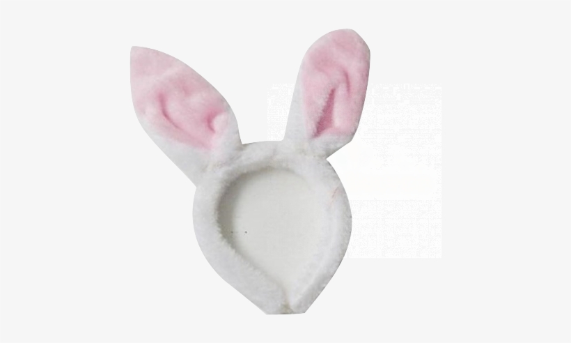 Domestic Rabbit, transparent png #9159092