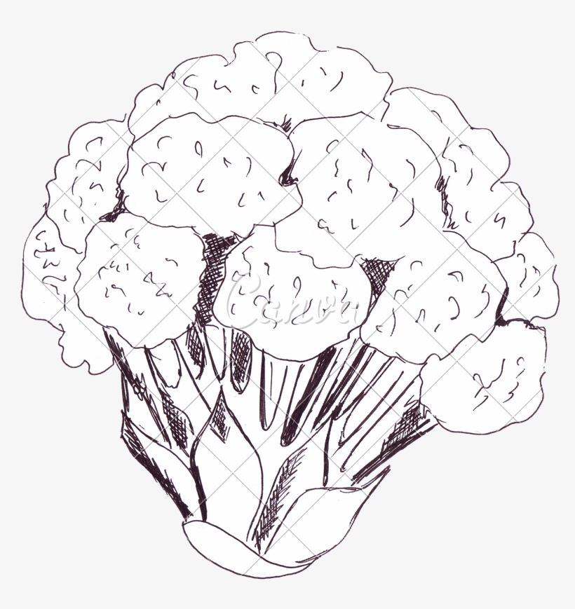 787 X 800 3 - Line Art, transparent png #9159370