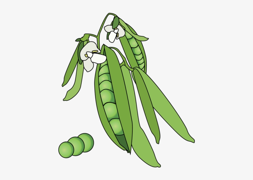 Illustration, transparent png #9159417