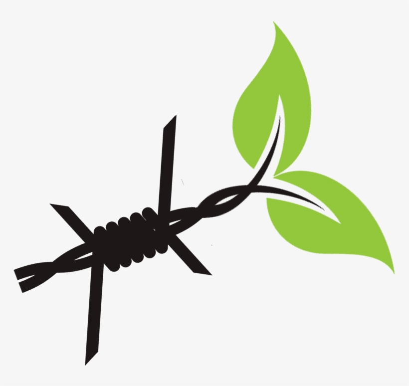 Research Teams - Insect, transparent png #9159859