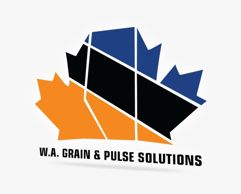 Team Canada Hockey, transparent png #9160194