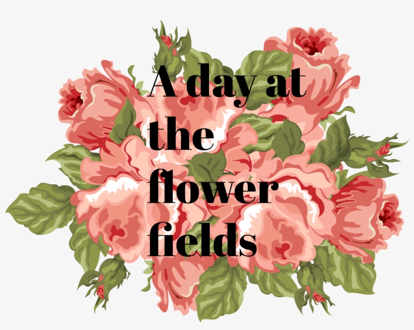 Floral Love Facebook Cover - Bouquet, transparent png #9161043