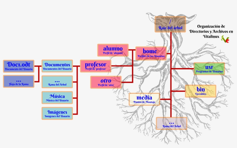 Vitalinux Organiza Los Directorios Y Archivos En Una - Estructura De Directorios Y Archivos, transparent png #9162397