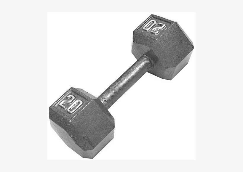Ended - 10 Lb Dumbbell, transparent png #9162433