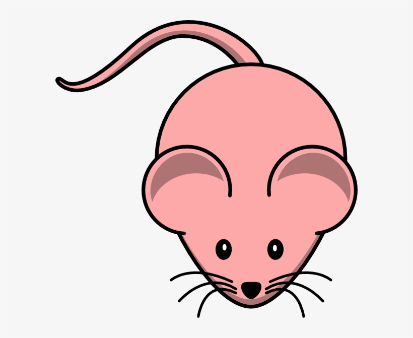 Female Mouse Svg Clip Arts 600 X 591 Px, transparent png #9163165