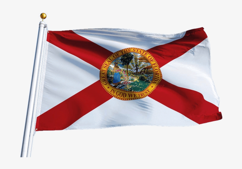 Florida Insurance Adjuster License - Flag, transparent png #9165515