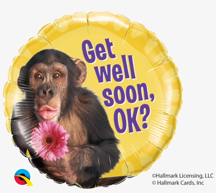 Chimpanzee Png, transparent png #9165874