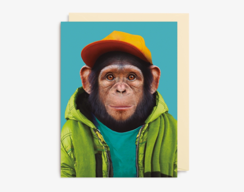 Common Chimpanzee - Lagom Design - Chimpanzee, transparent png #9165904