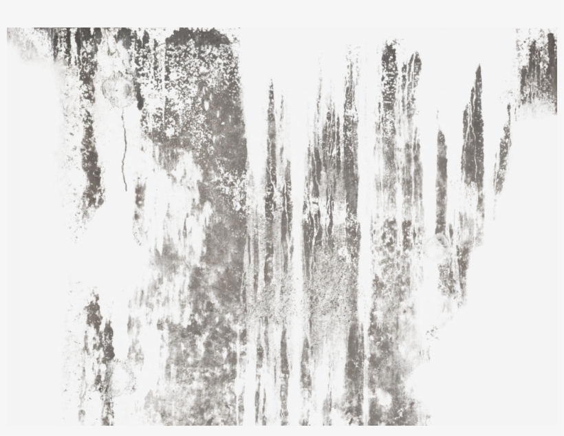 Dirty Texture Transparent - Canoe Birch, transparent png #9166107