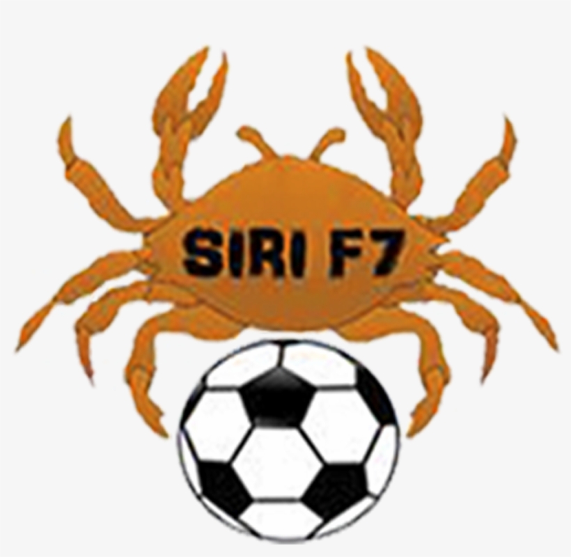 Siri - Volleyballball Clipart Black And White, transparent png #9166641