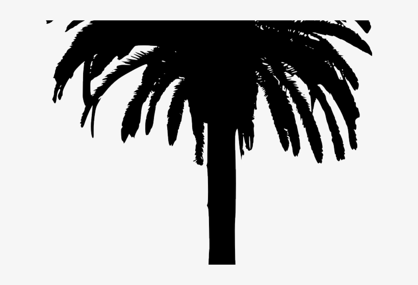 Bamboo Clipart Island Border - Png Silhouette Palm Tree, transparent png #9166692