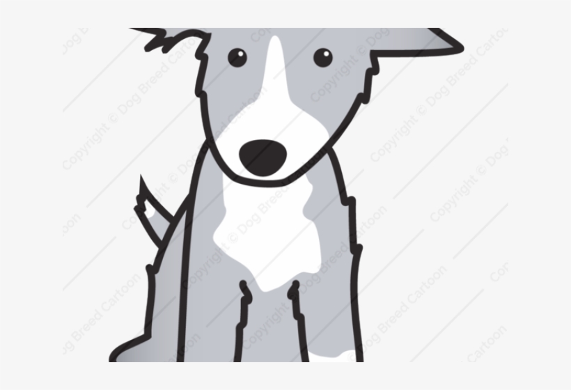 Bearded Collie Clipart Dog Nose - Border Collie, transparent png #9167713
