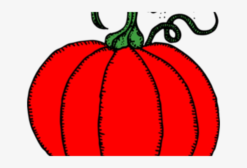 Red Pumpkin Cliparts - Line Drawing Pumpkin Clip Art, transparent png #9168104