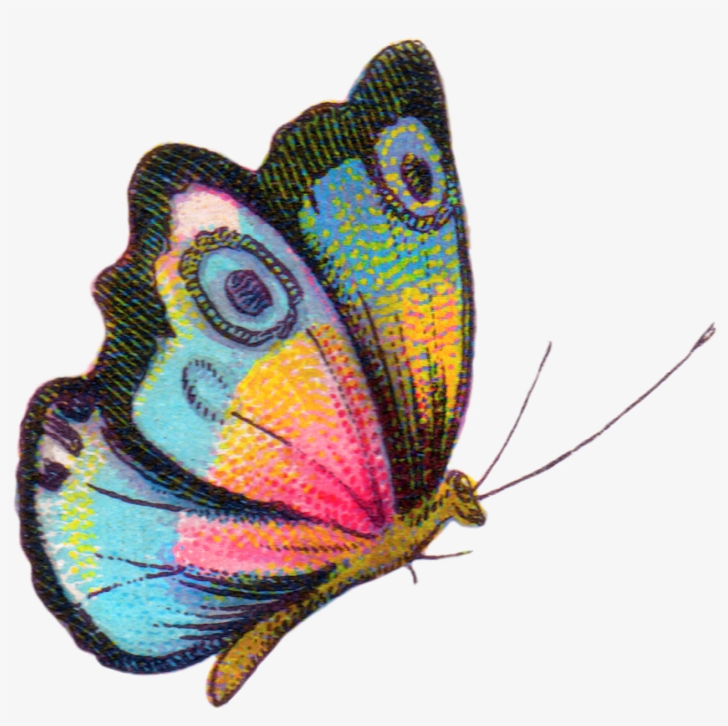 Royalty Free Image - Free Printable Colorful Butterfly Pdf, transparent png #9168181
