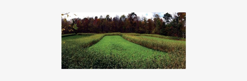 Killer - Field, transparent png #9168687