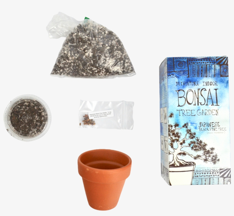 Diy Miniature Indoor Bonsai Tree Garden - Flowerpot, transparent png #9169031