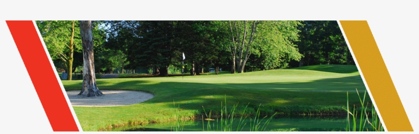 Century Pines Golf Course, transparent png #9169166