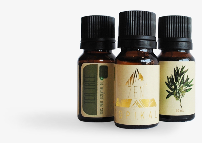 Home / Zen Cbd Essential Oils - Tea Tree Oil, transparent png #9169326