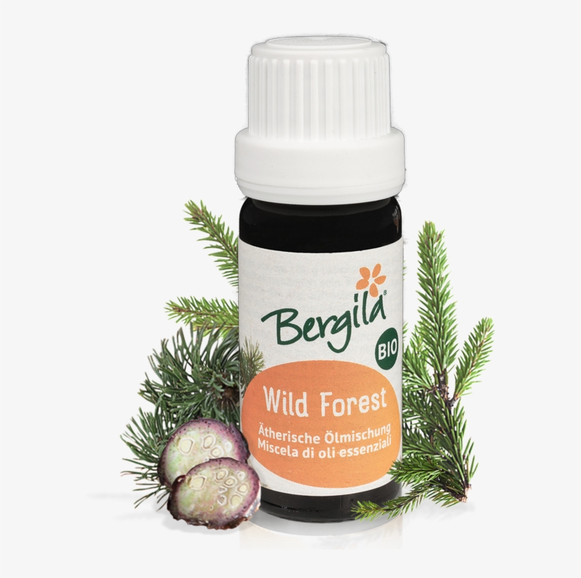 Christmas Tree, transparent png #9169545