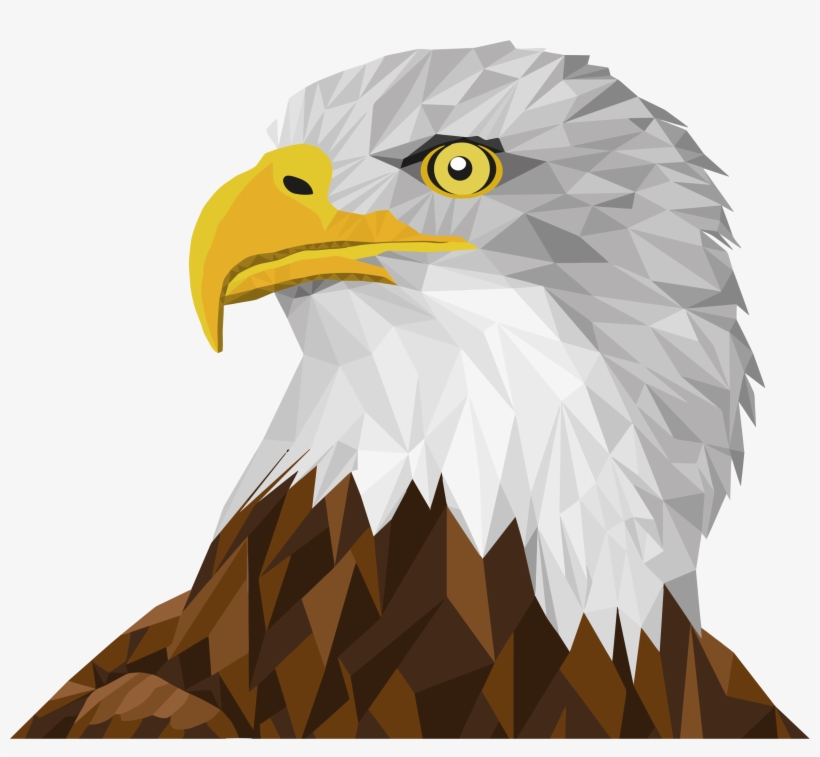 Big Image - วาด รูป นก อินทรี, transparent png #9169669