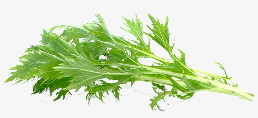 Check Out The Available Crops - Arugula, transparent png #9170083