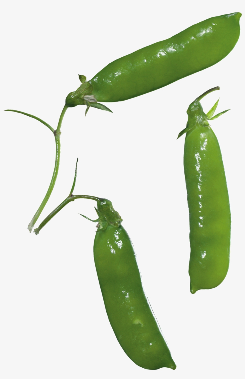 Pea Png Images - Pea, transparent png #9170141