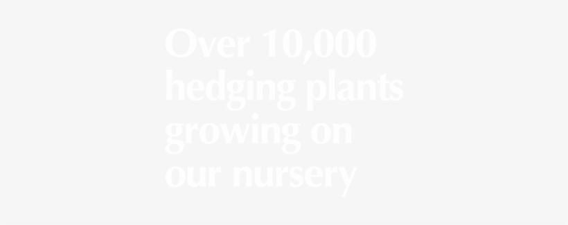 Top Hedging Products - Accor Hotels White Logo, transparent png #9171673