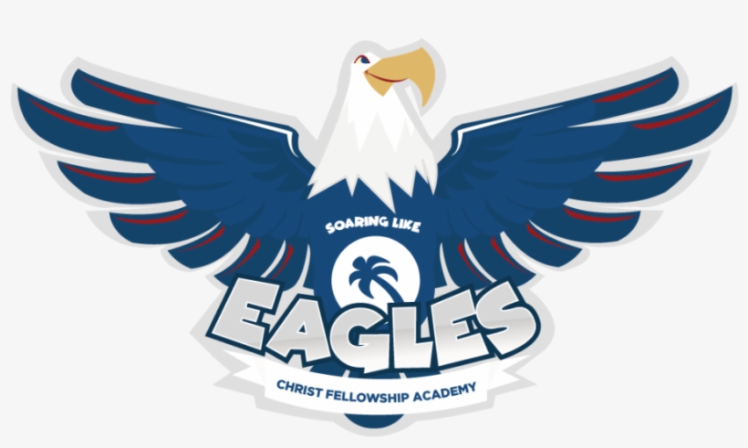 Bald Eagle, transparent png #9171955