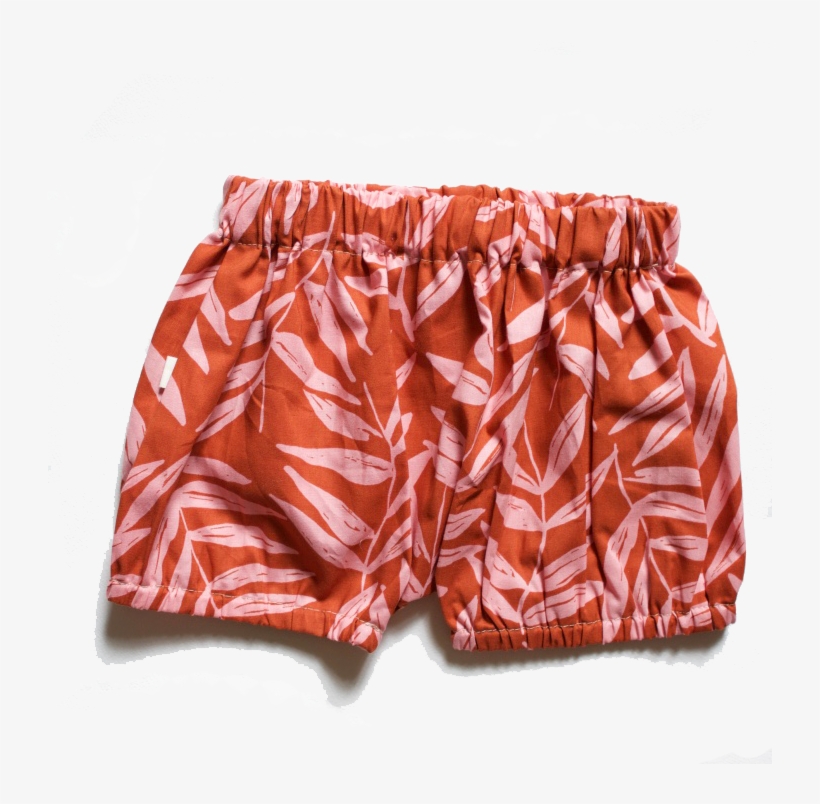 Xz, transparent png #9173883