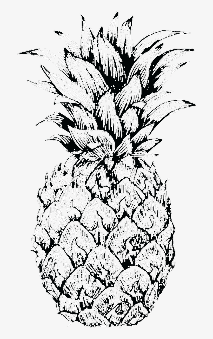 Pineapple Sketch At Paintingvalley Explore Collection - Pineapple Sketch, transparent png #9174102