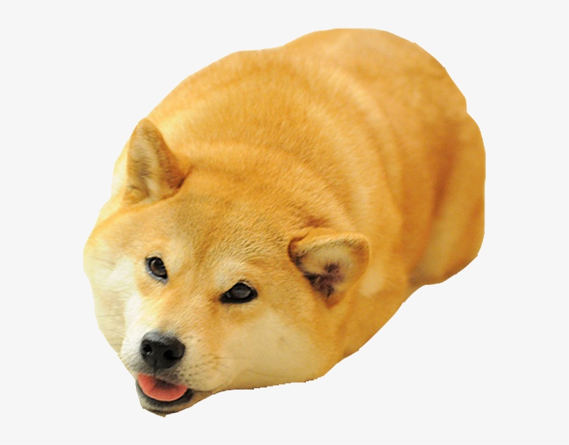 Shiba Dog's Head Messages Sticker-2 - Dog Meme Png, transparent png #9174393