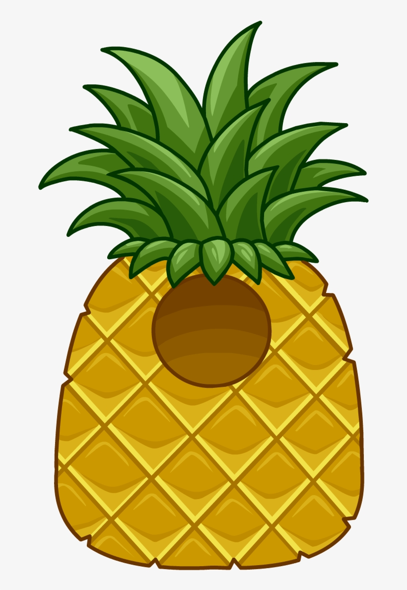Pineapple Costume - Pineapple Costume For Boys, transparent png #9174559