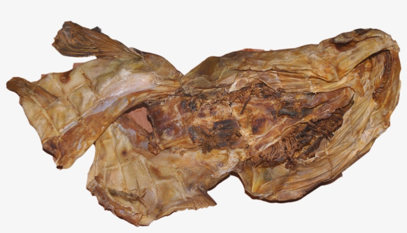 Stock Fish Head - Igneous Rock, transparent png #9174675