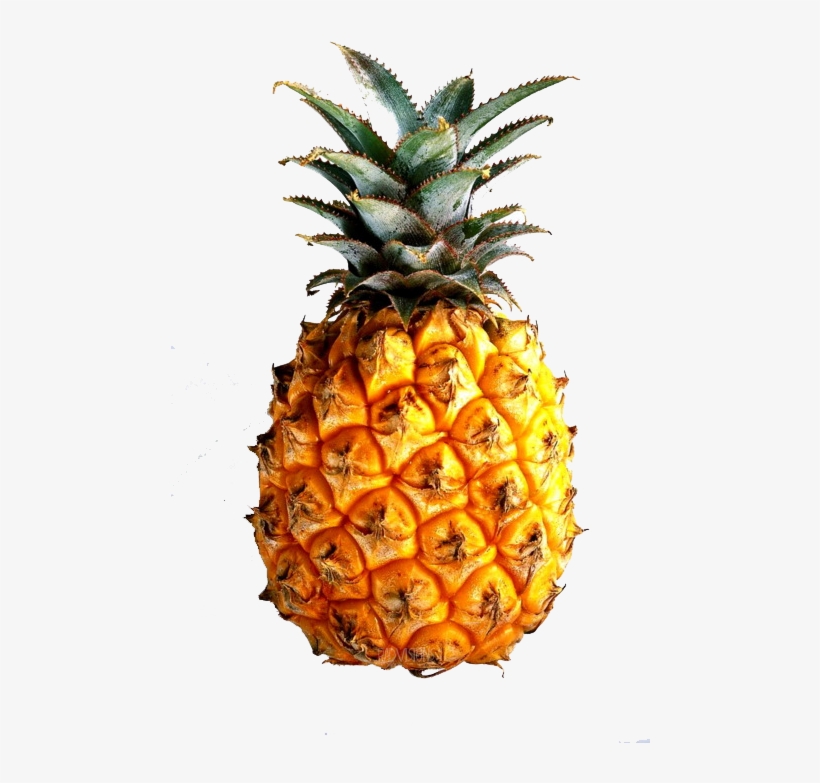 40 Images About On My Earrings On We Heart It - Fibonacci Fruit, transparent png #9174824