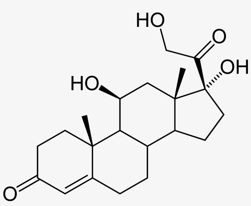 Cortisol 2d Skeletal - 17 Alpha 20 Beta Dihydroxy 4 Pregnen 3 One, transparent png #9177105