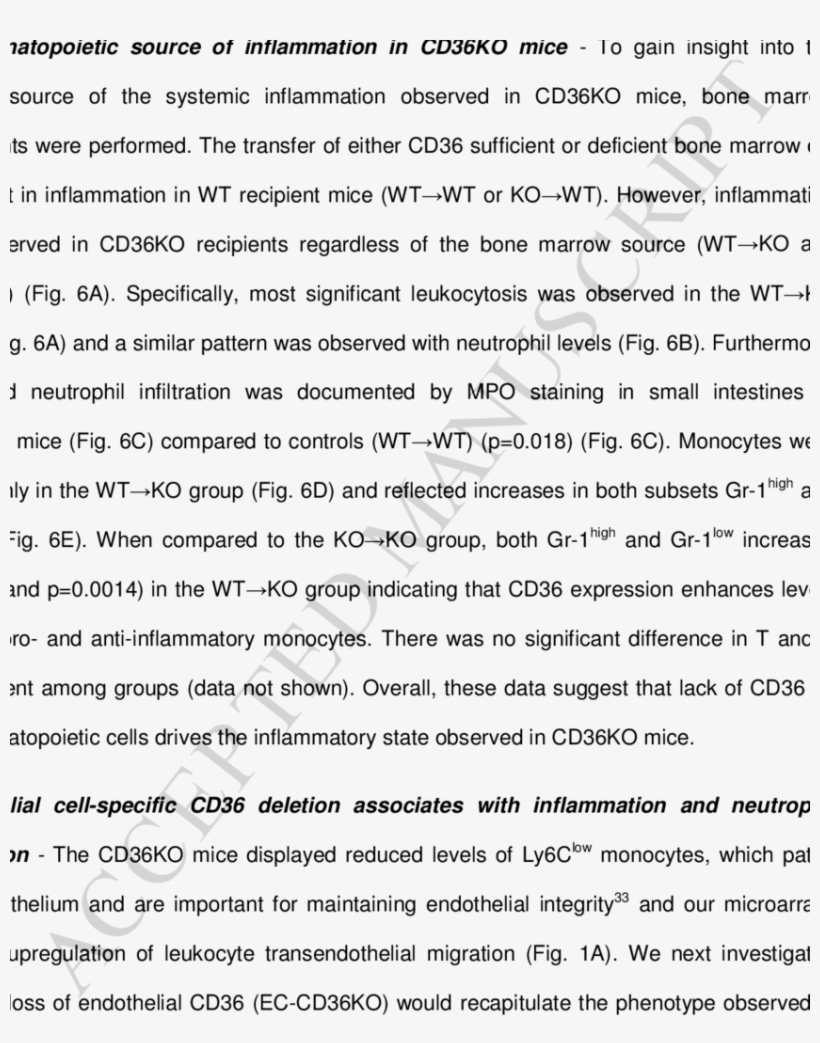 The Small Intestine Of Ec-cd36ko Mice Exhibited Increased - Record Of Transfer For Trinity School, transparent png #9177163
