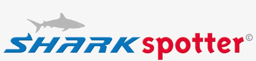 Shark Recognition - Graphics, transparent png #9177948