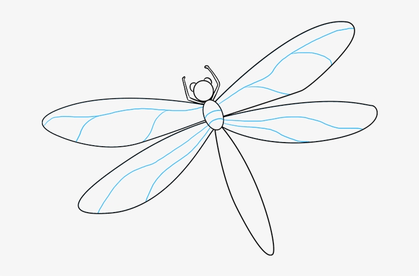 How To Draw Dragonfly - Dragonfly, transparent png #9178279