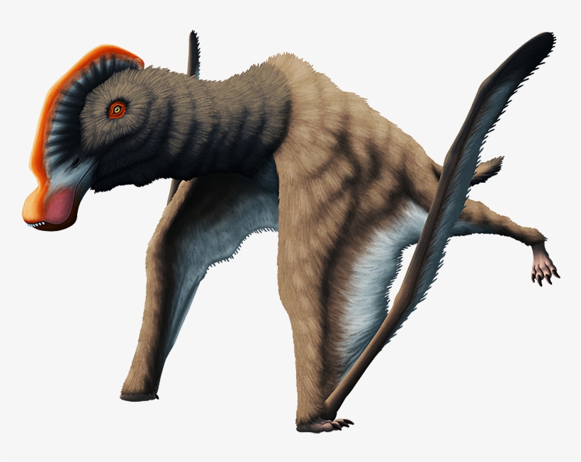 Tumblr Pn4t9muhnb1s5f2yxo1 1280 - Cat, transparent png #9179180