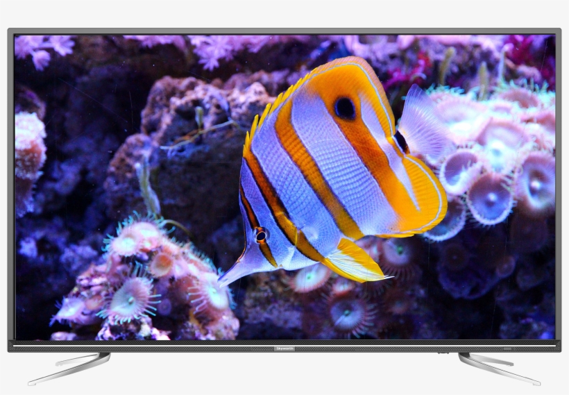 Skyworth 40″ Digital Led Television 40e2d - Butterflyfishes, transparent png #9179818