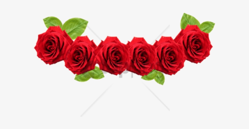 Free Png Transparent Flower Crown Png Images Transparent - Rose Flower Crown Png, transparent png #9180017