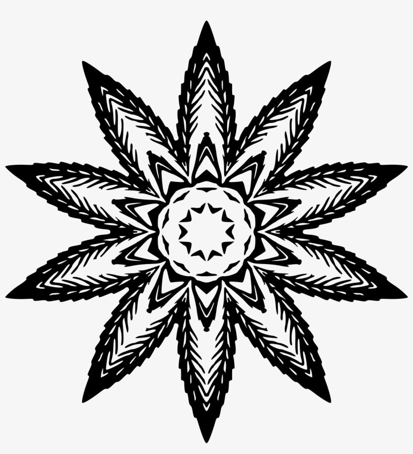 This Free Icons Png Design Of Plant Design 37, transparent png #9180474