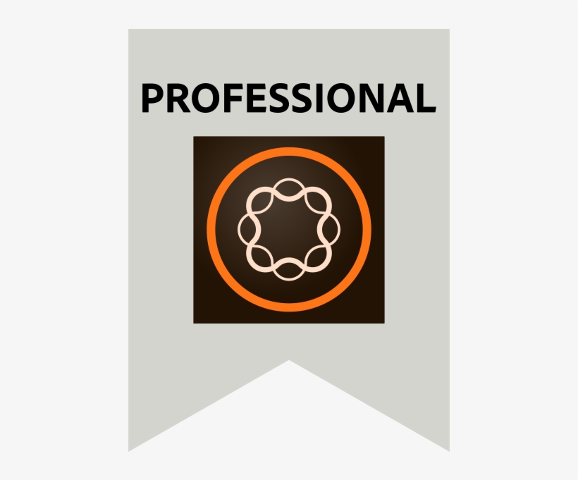 Adobe Professional - Circle, transparent png #9181325