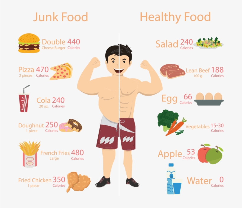 Chubby Man And Muscular Man Vector Illustration, transparent png #9182694
