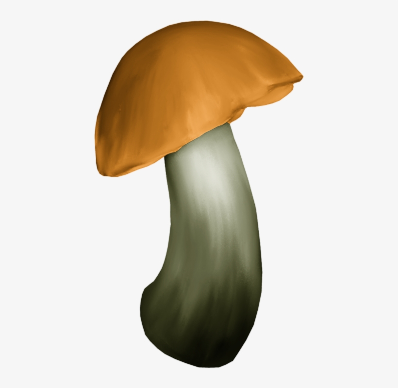 Яндекс - Фотки - Shiitake, transparent png #9183267