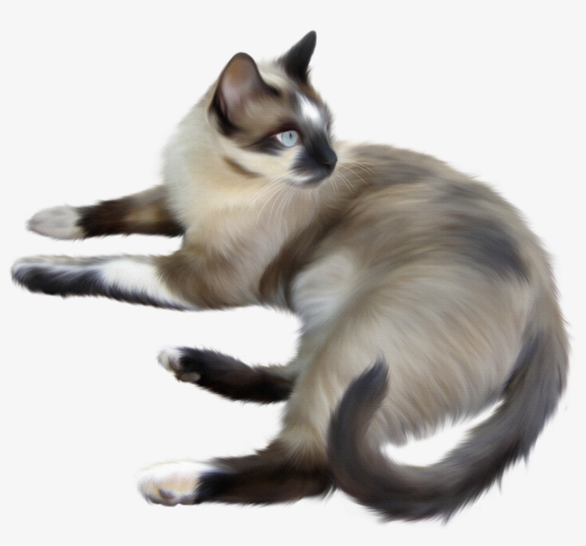 Transparent Garfield Cat Gif Png Transparent Garfield - Клипарты На Прозрачном Фоне Кошки Собаки, transparent png #9183269