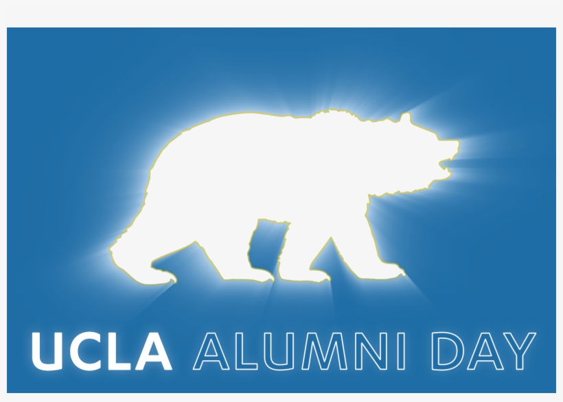 Saturday, May - Polar Bear, transparent png #9185358